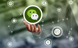 六月八大網(wǎng)絡(luò)謠言揭秘 這些騙局你上當(dāng)了嗎？